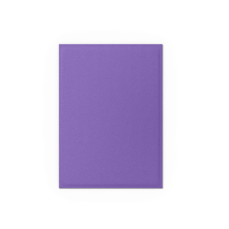 Dragon Shield Standard Dual Matte Sleeves: Nebula & Silver (100ct.)