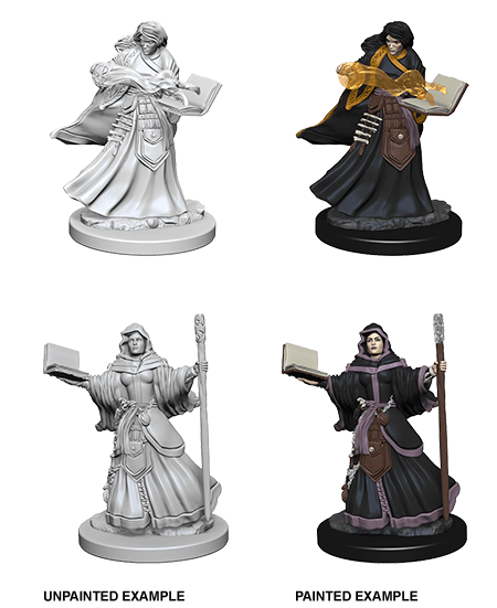 Human Wizard Female - Board Wipe