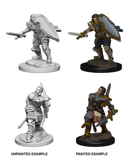 Human Paladin Male - Board Wipe