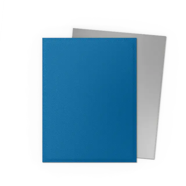 Dragon Shield Standard Dual Matte Sleeves: Cobalt & Silver (100ct.)