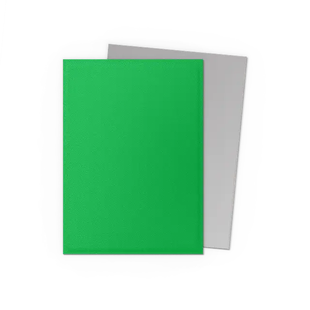 Dragon Shield Standard Dual Matte Sleeves: Apple Green & Silver (100ct.)