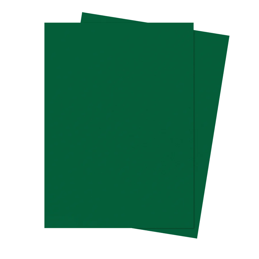 Enhanced Eclipse Standard Matte Sleeves: Forest Green (105)
