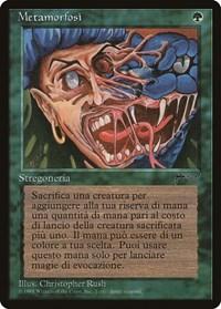 Metamorphosis (Italian) - "Metamorfosi" [Renaissance] - Board Wipe