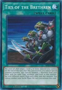 Ties of the Brethren [SR10-EN030] Common - Board Wipe