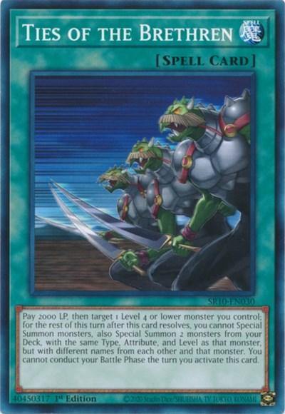 Ties of the Brethren [SR10-EN030] Common - Board Wipe