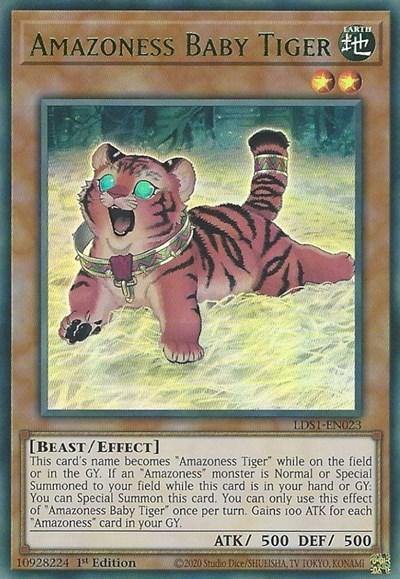 Amazoness Baby Tiger (Green) [LDS1-EN023] Ultra Rare - Board Wipe