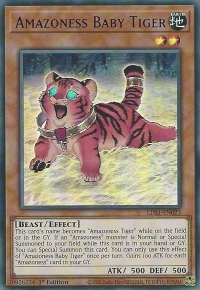 Amazoness Baby Tiger (Purple) [LDS1-EN023] Ultra Rare - Board Wipe
