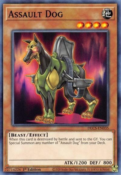 Assault Dog [DLCS-EN035] Common - Board Wipe