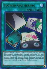 Flower Gathering [DLCS-EN136] Common - Board Wipe