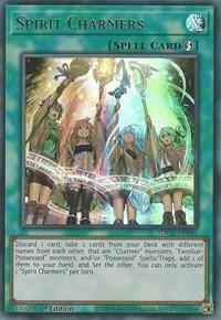 Spirit Charmers [SDCH-EN041] Ultra Rare - Board Wipe