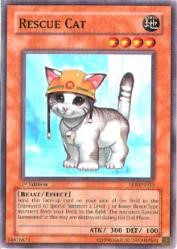 Rescue Cat [FET-EN033] Common