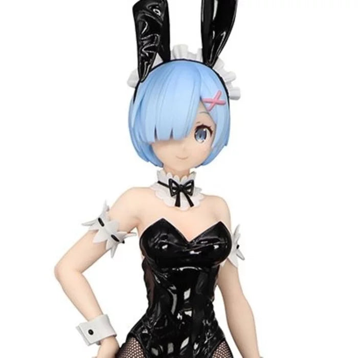 Re:Zero Starting Life in Another World: Rem (BiCute Bunnies)