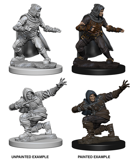 Pathfinder: Human Male Rogue Wave 1