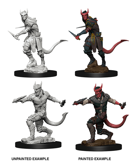 Tiefling Rogue Male - Board Wipe