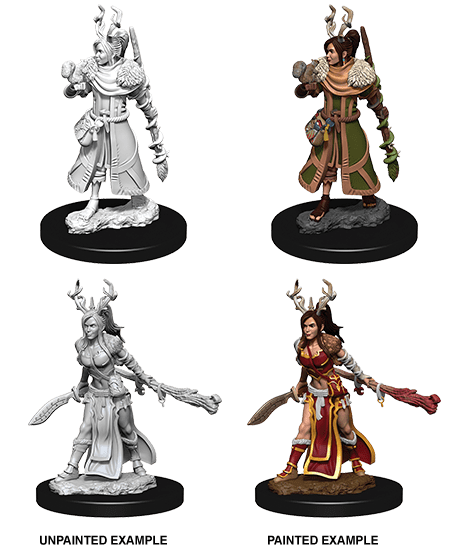 Human Druid Female - Board Wipe