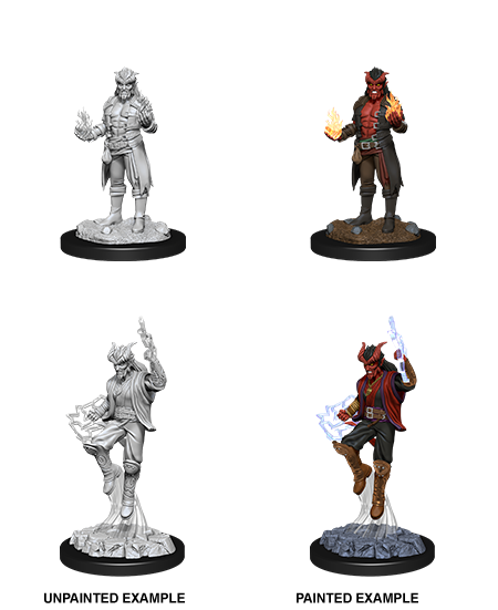 Tiefling Sorcerer Male Wave 12