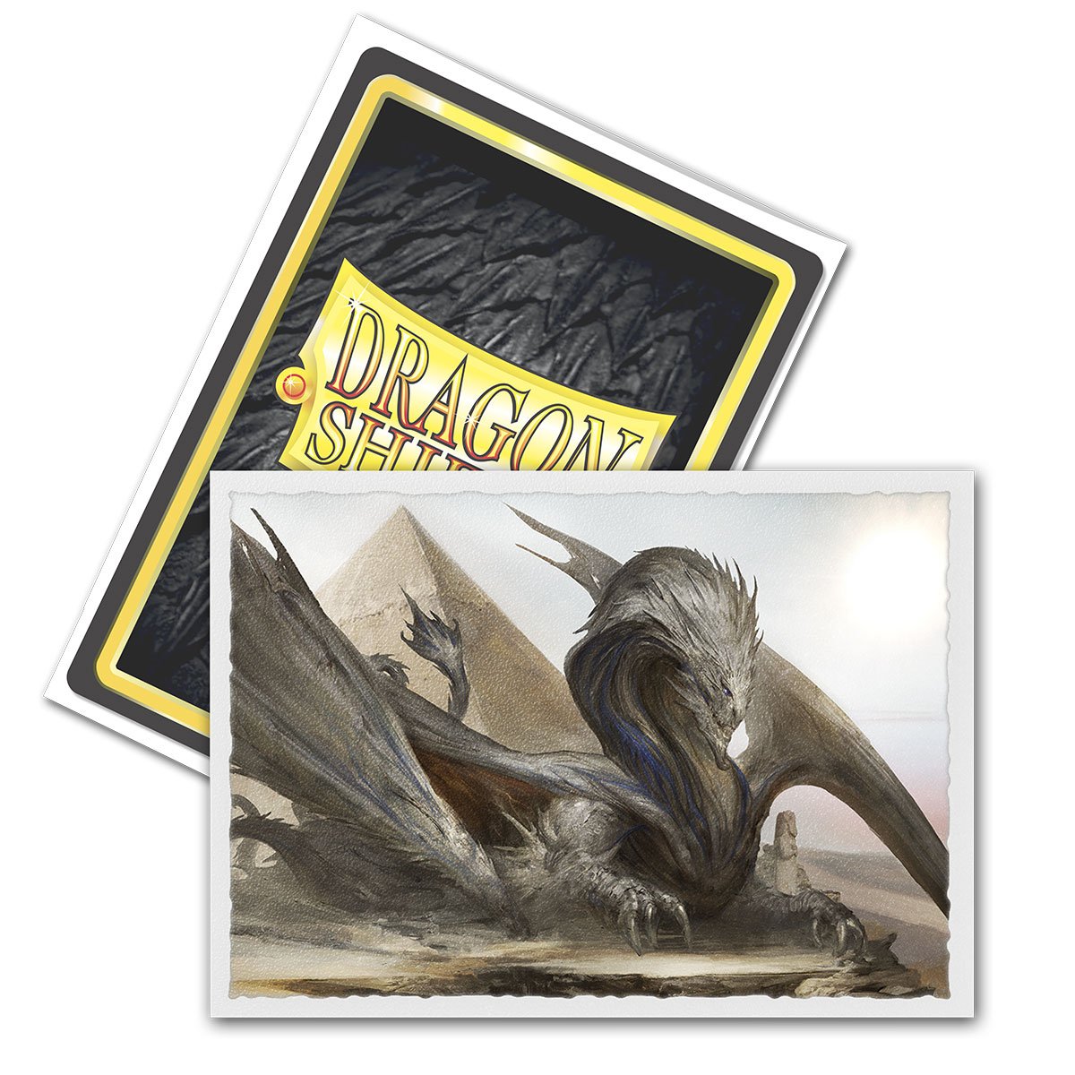 Dragon Shield Art Matte Standard (100) Card Sleeves - Board Wipe