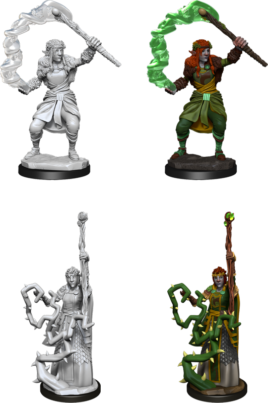 Firbolg Druid Female Wave 13