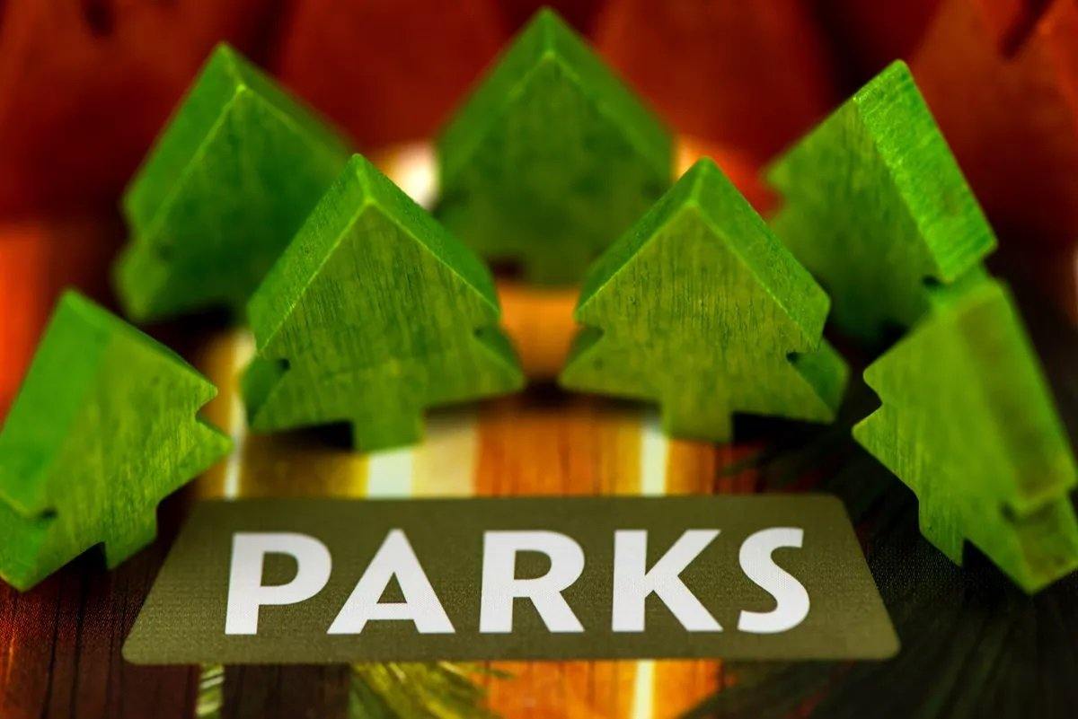 Parks - Board Wipe