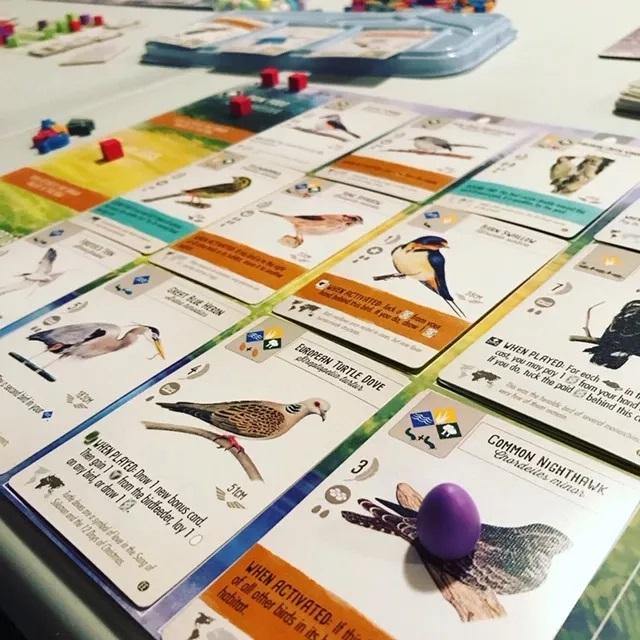 Wingspan: European Expansion - Board Wipe