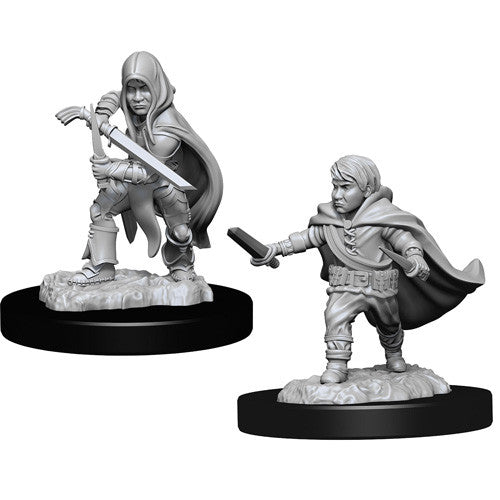 Halfling Rogue Male Wave 13